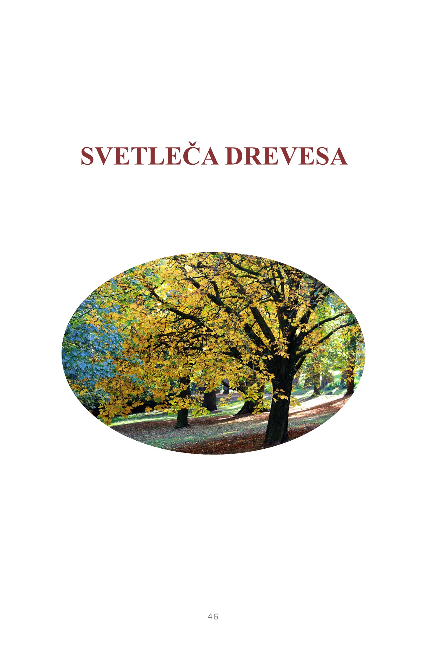 Sporočila dreves, esence dreves, terapija za telo, um in duha, svetovanje, zdravje, eko, povezovanje s seboj, meditacija, zavedanje, joga, spirit of trees, preobražanje vzorcev, svetleča drevesa, mitologija