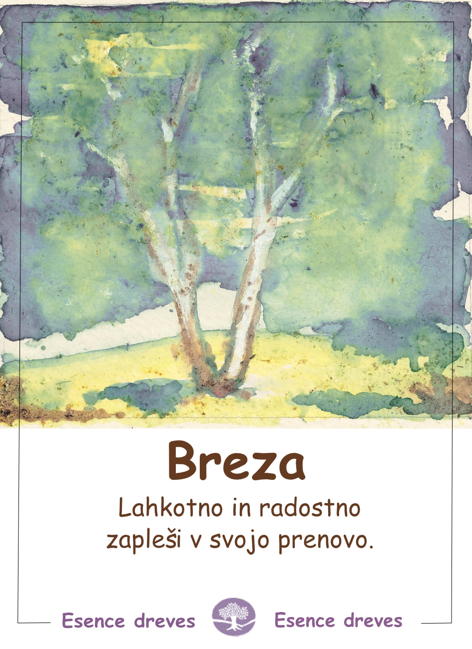 esence-dreves, breza, nudi podporo čustvenim težavam, je evolucijska nadgradnja bachovih-esenc, ekološke kapljice, podpira prenovo izražanja, razrešuje zapiranje-vase, čustveno-ravnovesje preobrazba težav zapiranja vase, težave, nemoč iskrenega izražanja, ločenost od celote, ujetost v svoj svet, lahkotna preobrazba, odpiranje zunanjemu svetu, izražanje iskrenosti, prepoznavanje notranje luči v vsakem življenjskem obdobju, ohranjanje mladosti, puščanje starih stvari za sabo