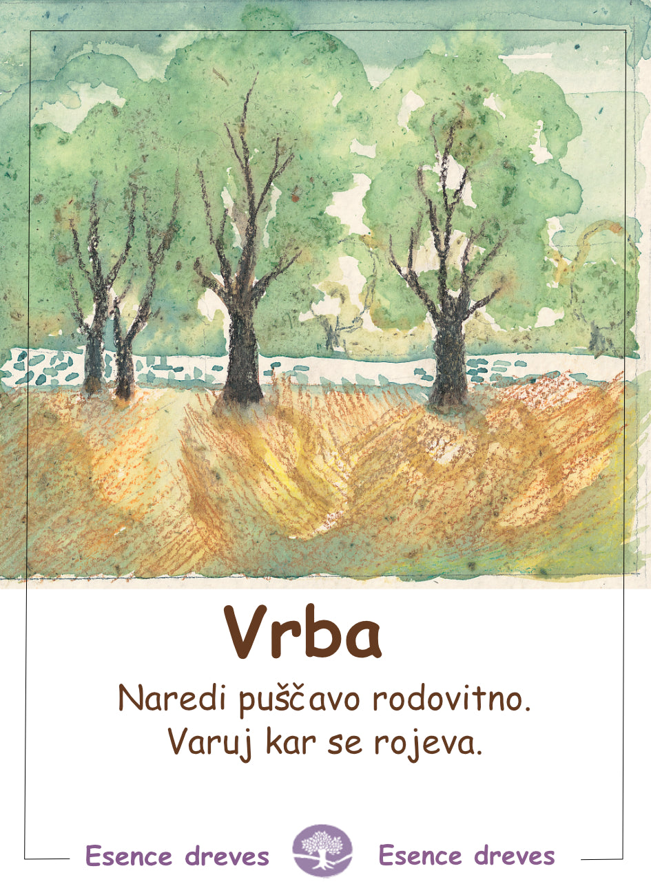 Esence dreves - Vrba - ekološke kapljice 20ml