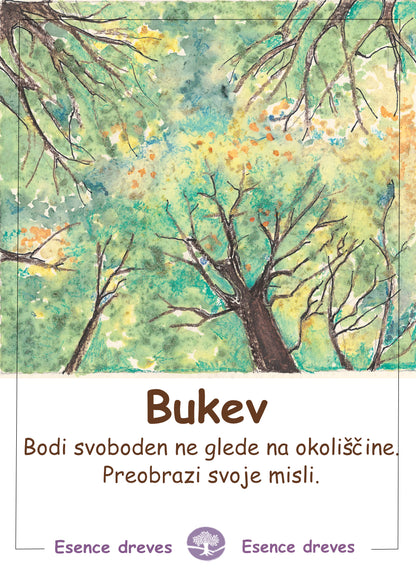 Esence dreves - Bukev - ekološke kapljice 20ml