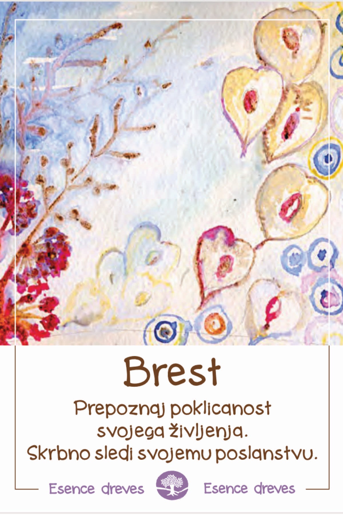 Esence dreves - Brest - ekološke kapljice 20ml
