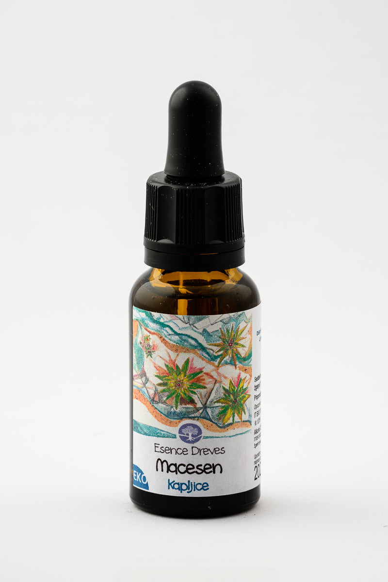 Esence dreves - Macesen - ekološke kapljice 20ml