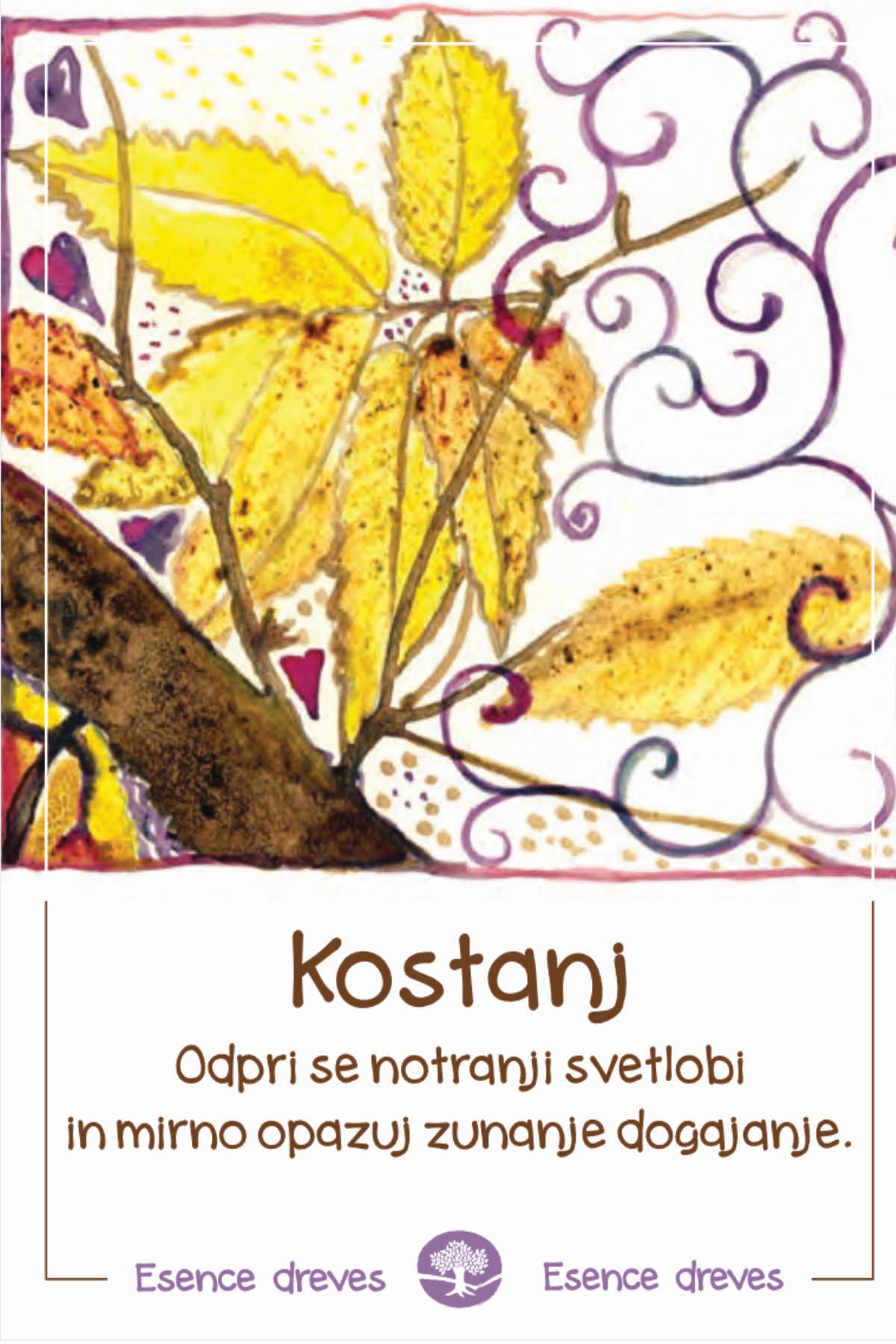 Esence dreves - Kostanj - ekološke kapljice 20ml