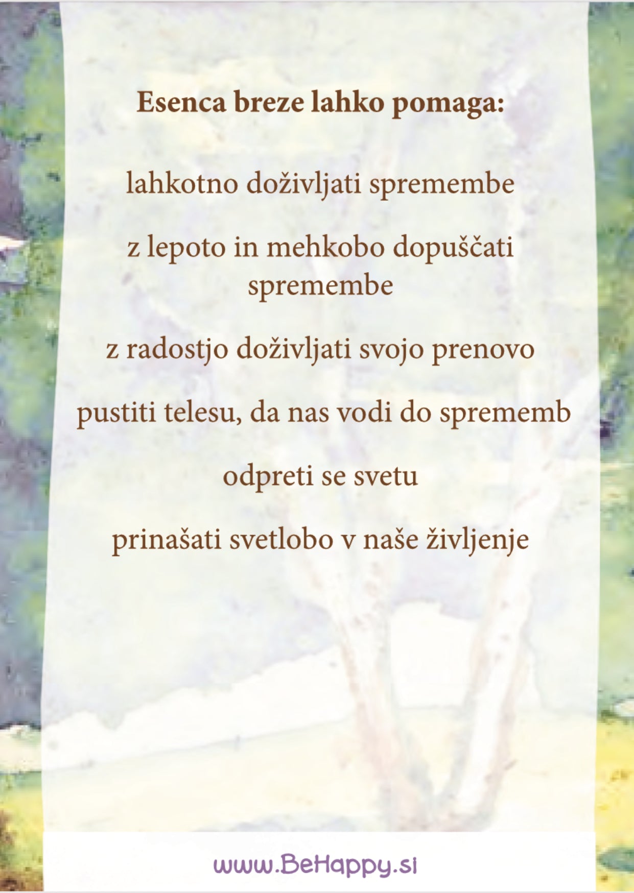 Hrbtna stran kartice esence dreves breze z navodili kako nam esenca breze lahko pomaga. Esence dreves, kartice za izbor esence drevesa. Orodje za intuitivno izbiro esenc dreves, osebno rast, aromaterapijo, meditacijo in introspekcijo.