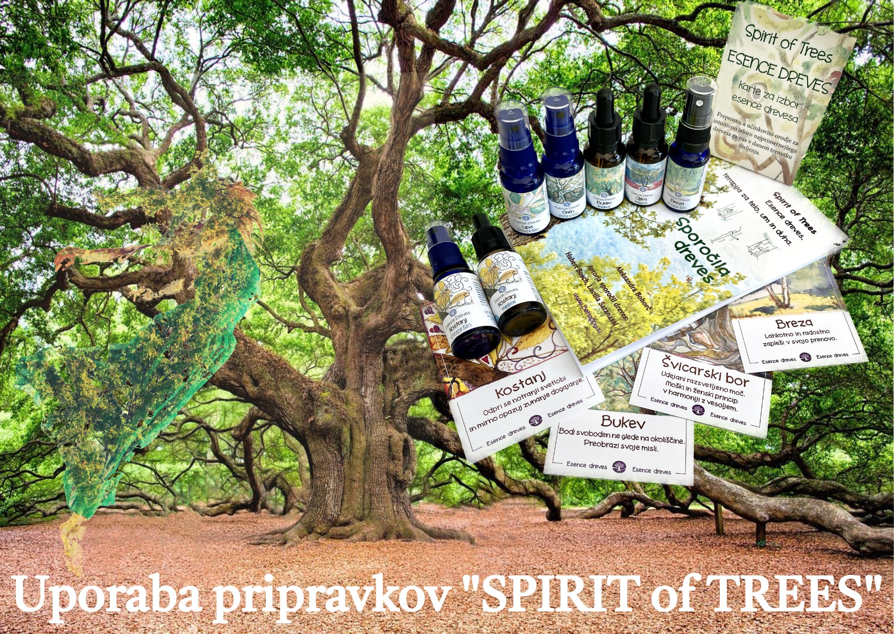 Naloži videoposnetek: uporaba-spirit-of-trees-esence-dreves