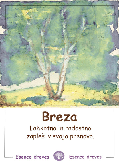 Esence dreves, so ekološki pripravki za boljše počutje, osebno rast. Pomagajo pri preobrazbi različnih težav kot so: stres, obup, strahovi, potlačena-čustva, dusevne in telesne napetosti, tezave pri spremembah, obcutek zapuscenosti, nemir, pomanjkanje ljubezni.