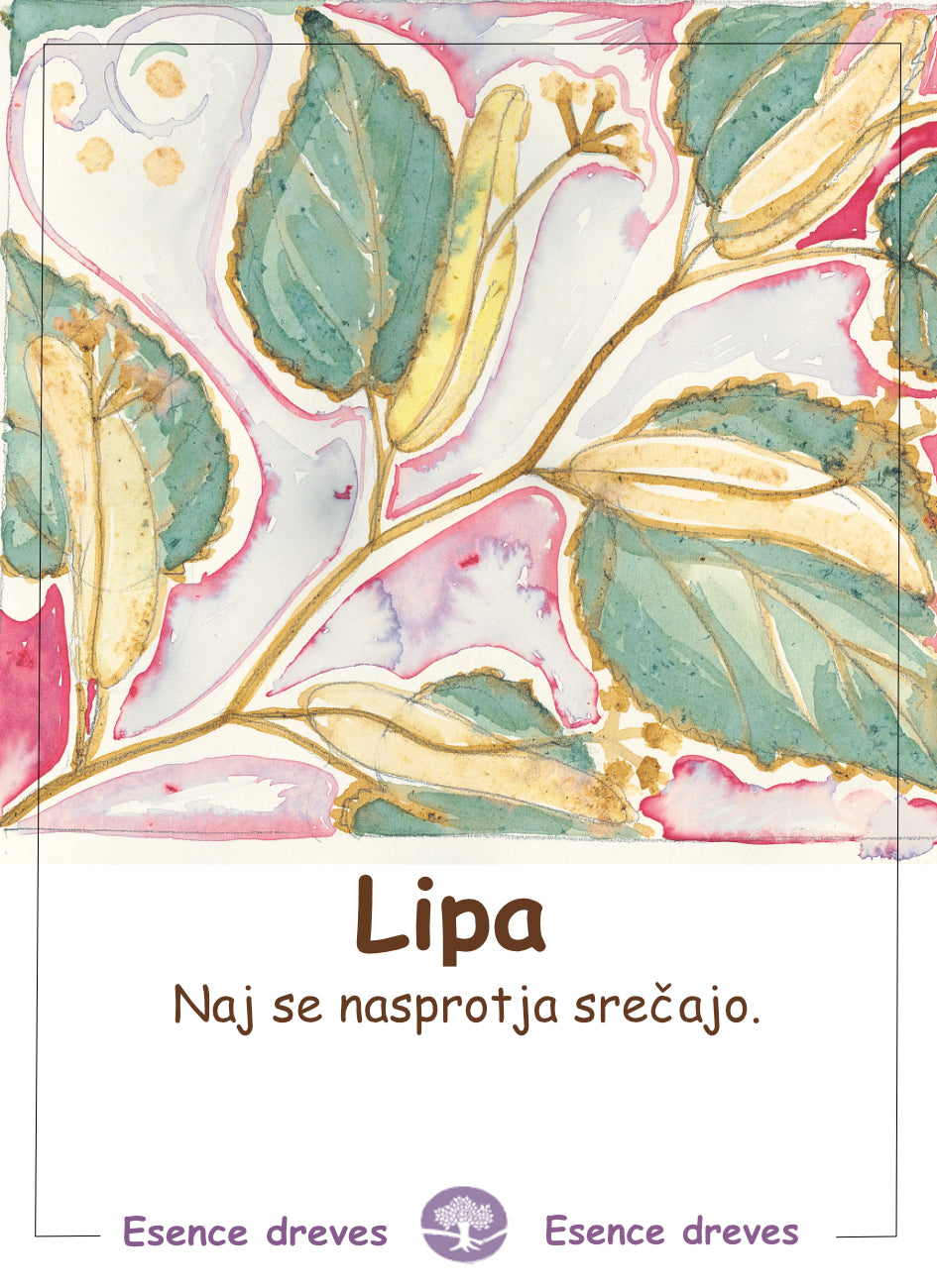 Esence dreves - Lipa - ekološke kapljice 20ml