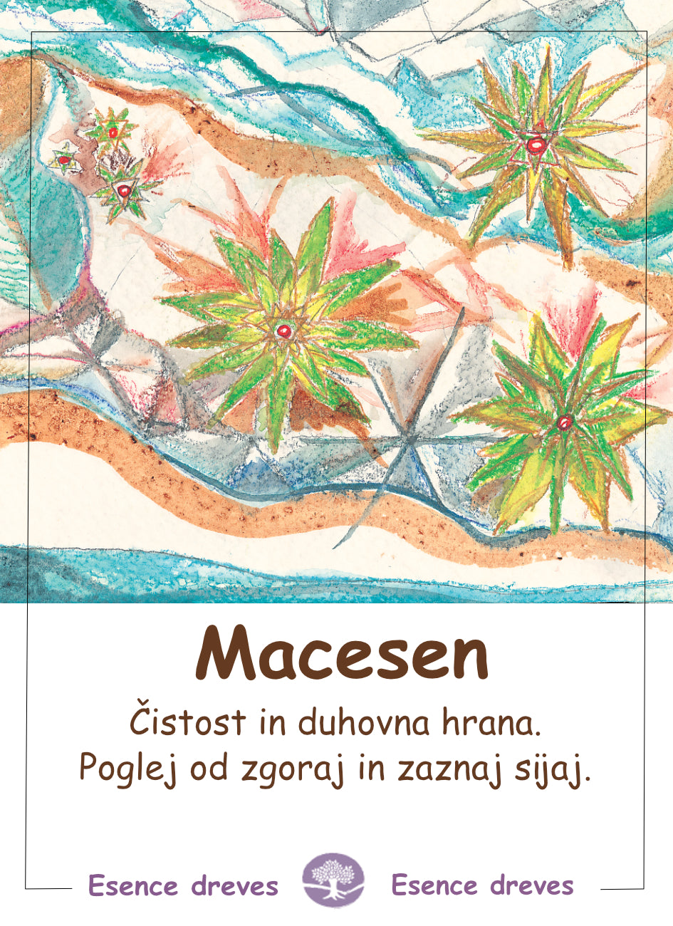 esence dreves, esenca macesna, čistost in duhovna hrana, preobražanje negativnih miselnih in čustvenih vzorcev, duhovna rast in evolucija, meditacija