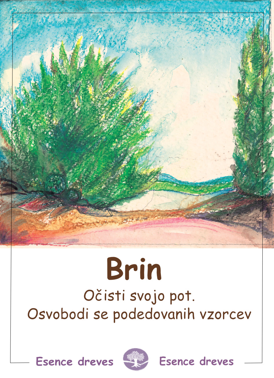 Esence dreves - Brin - ekološko razpršilo 20ml