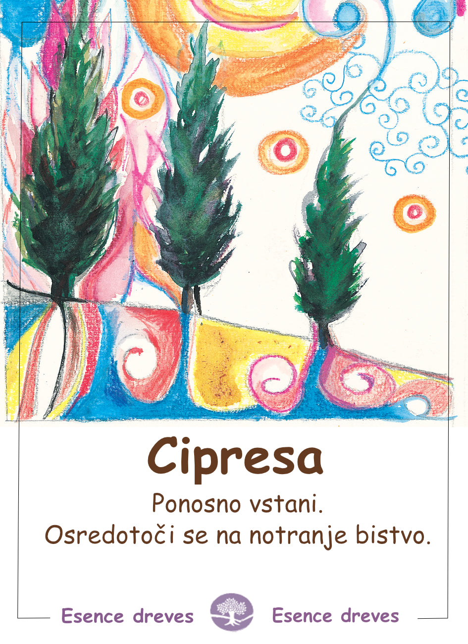 Esence dreves - Cipresa - ekološke kapljice 20ml