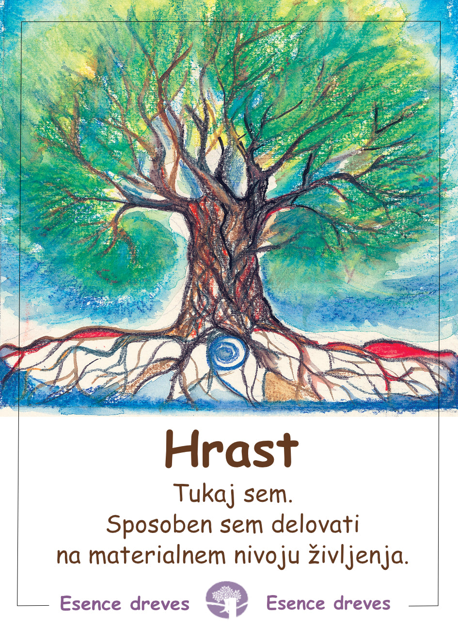 Esence dreves - Hrast - ekološko razpršilo 20ml