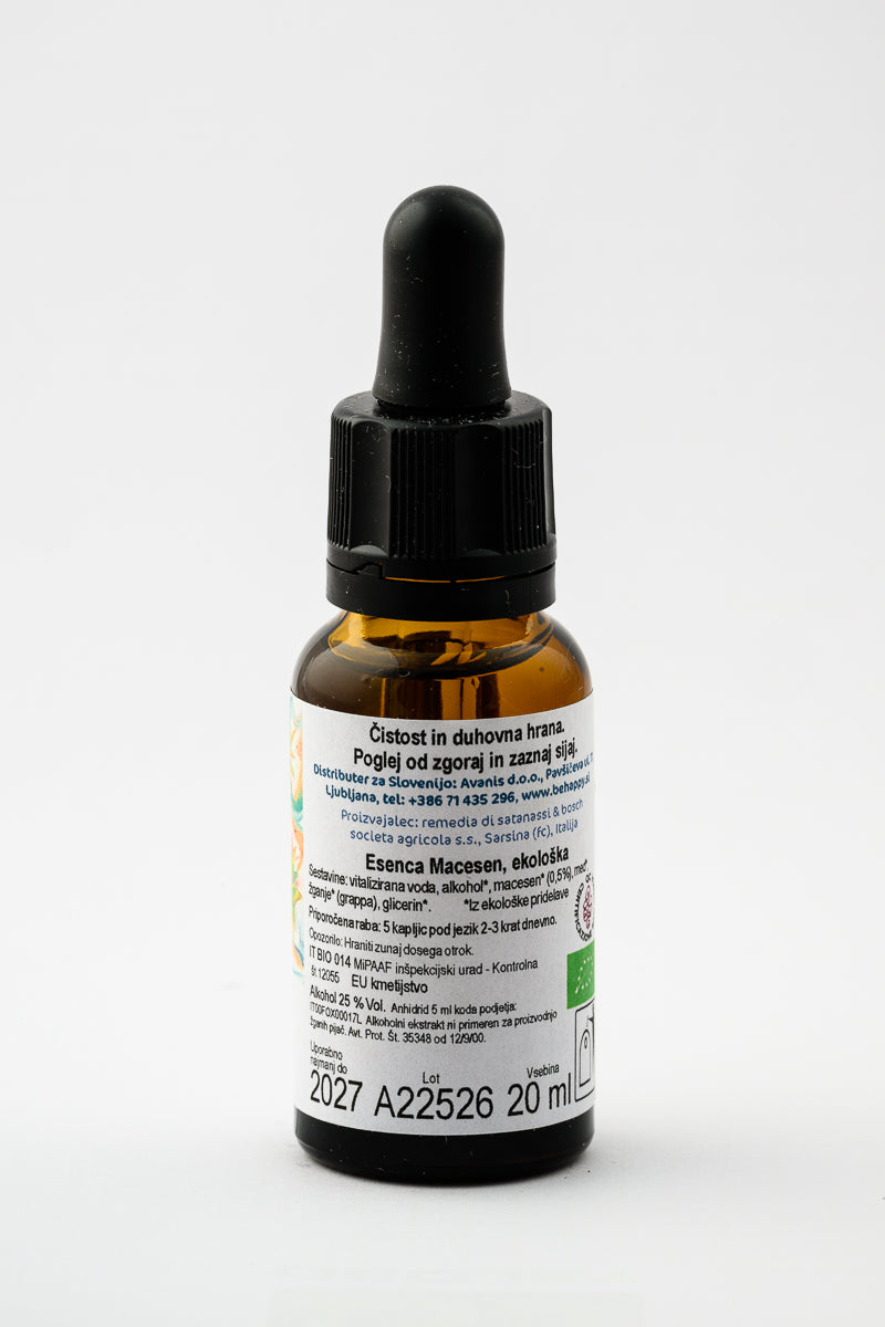 Esence dreves - Macesen - ekološke kapljice 20ml