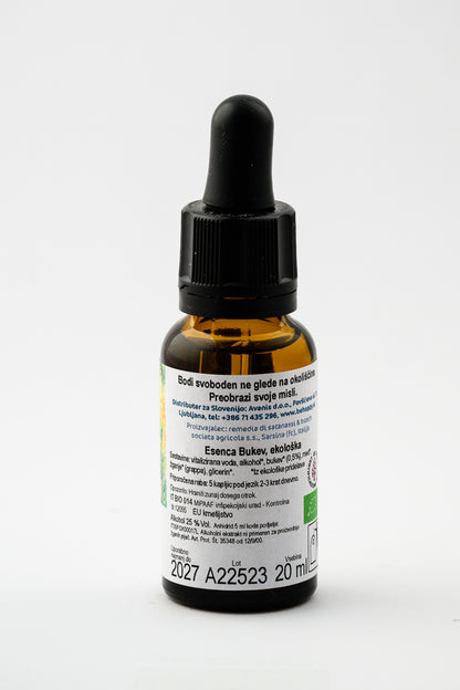 Esence dreves - Bukev - ekološke kapljice 20ml