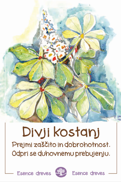 Esence dreves - Divji kostanj - ekološko razpršilo 20ml