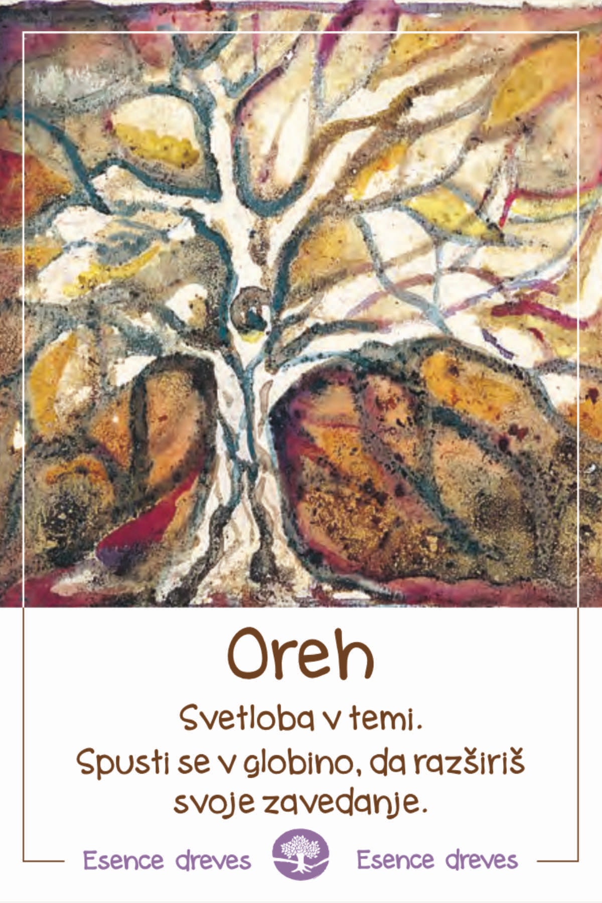 Esence dreves - Oreh - ekološko razpršilo 20ml